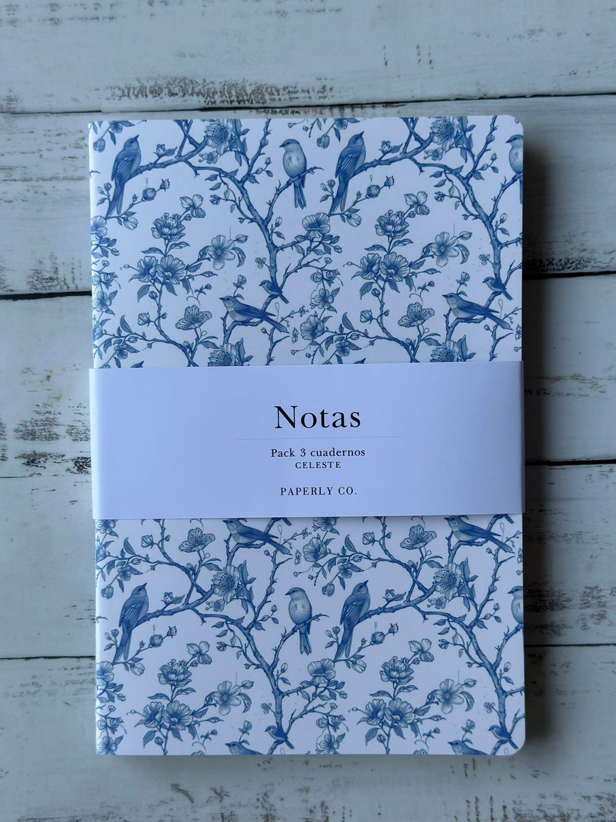 Pack 3 Cuadernos
